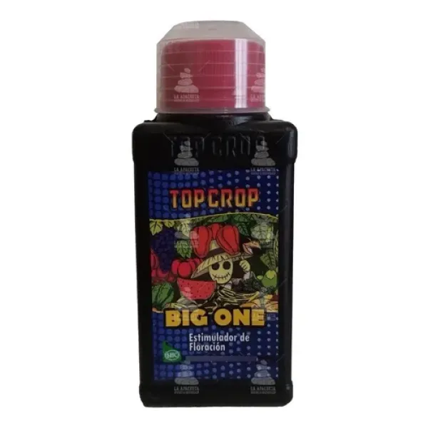 Top Big One 100ml