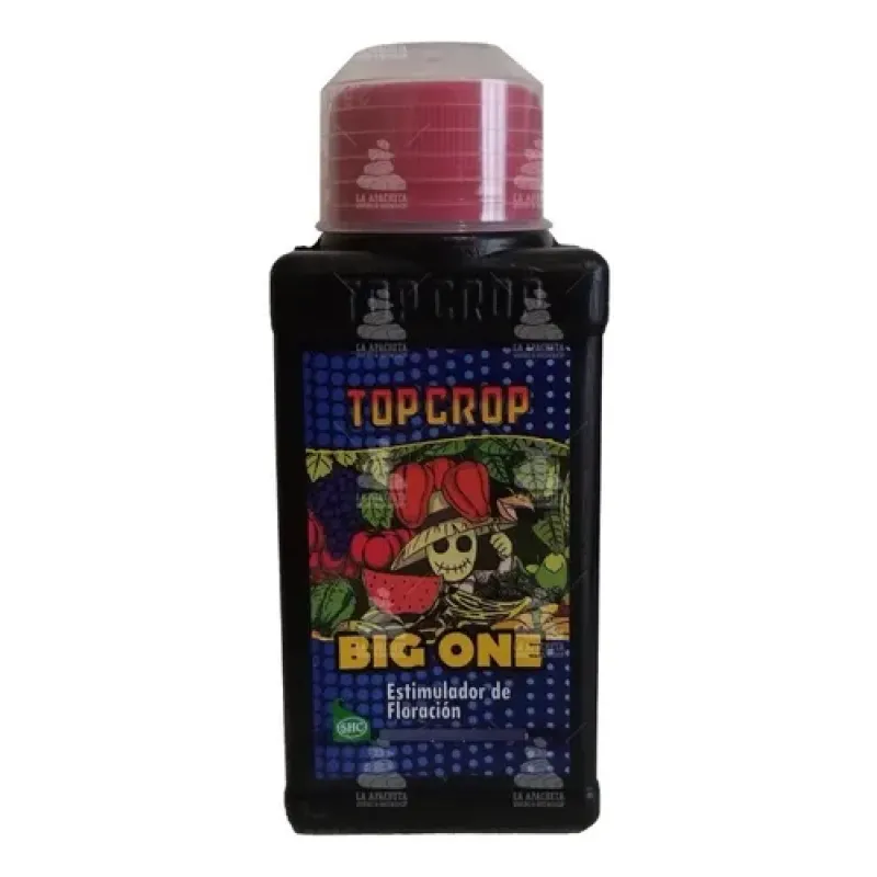 Top Big One 100ml