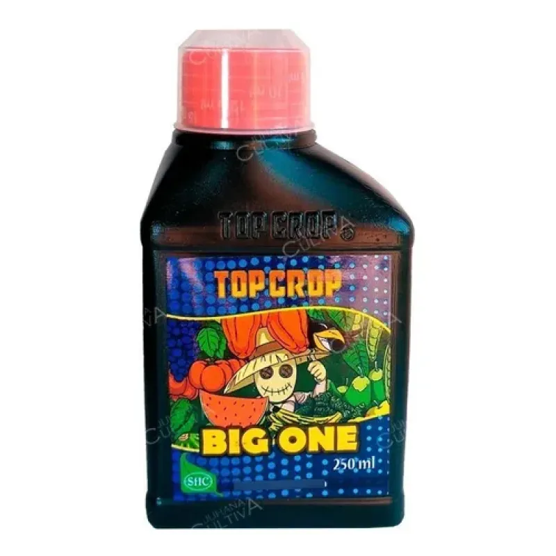 Top Big One 250ml